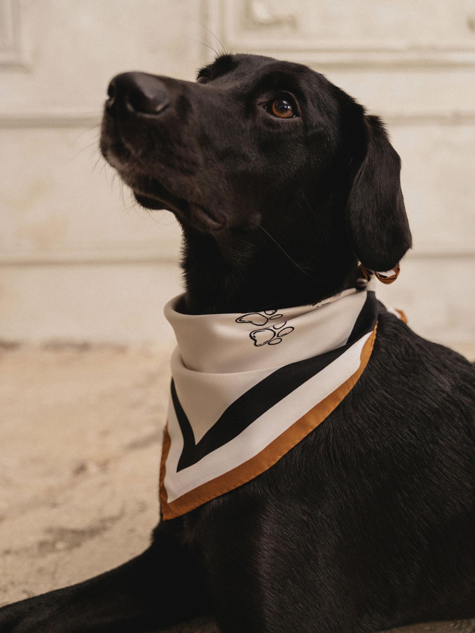 Μεταξωτό Μαντήλι PET 50cm x 50cm - Image 2